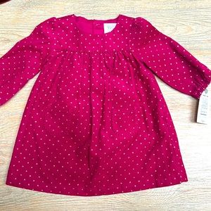 Carter’s Cranberry Dress - Brand new!